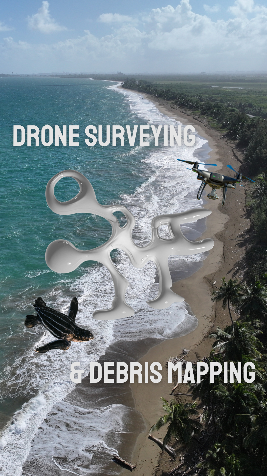 Drone survey for environmental assessment