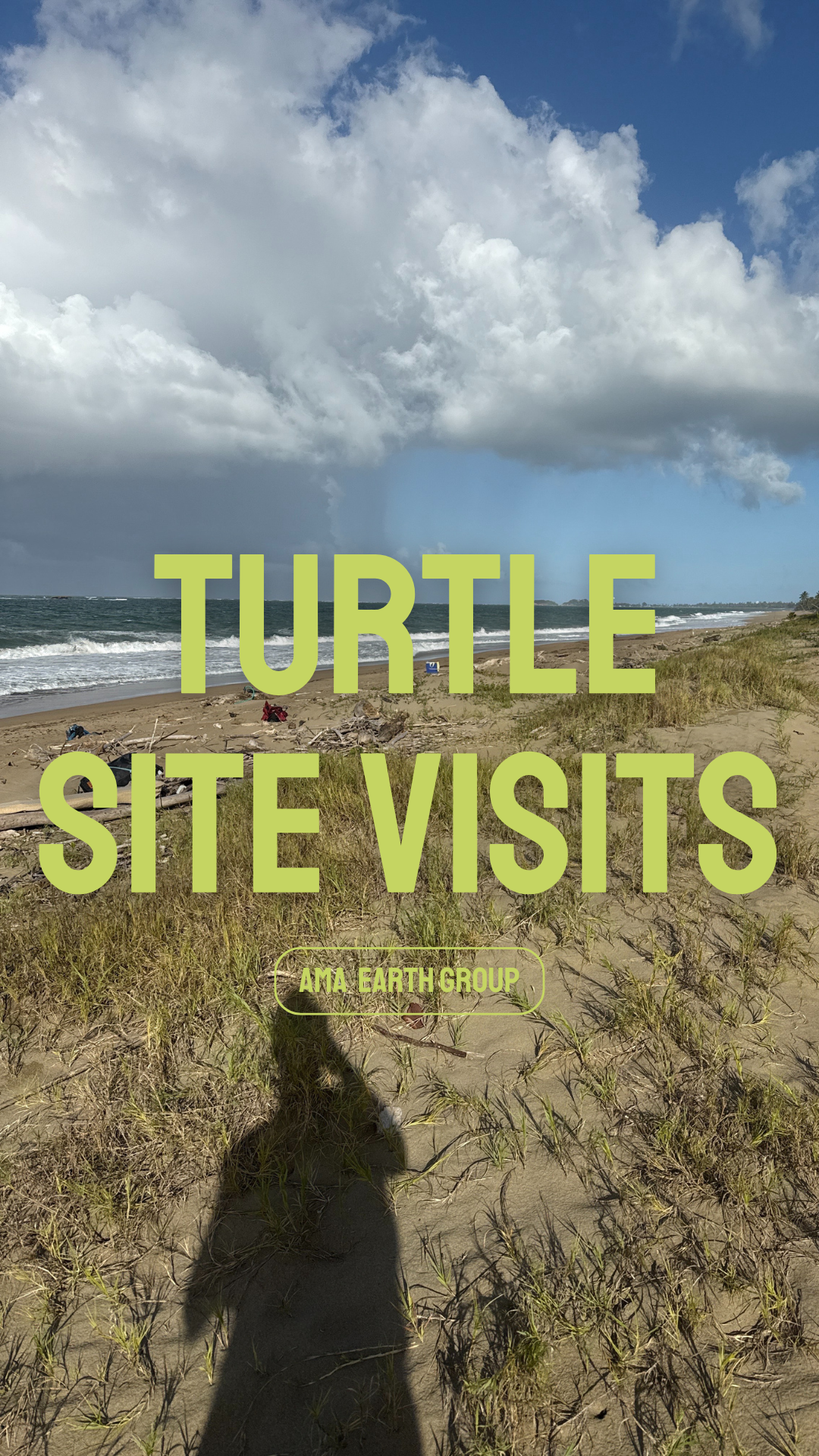 Turtle site visits and monitoring